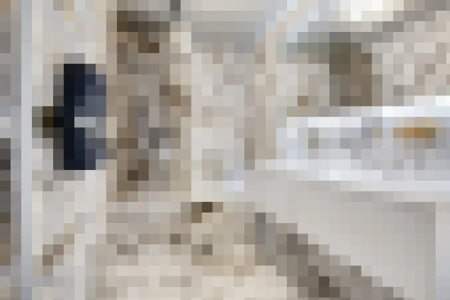 de Vlashoeck 23 Bergschenhoek thumbnail 18