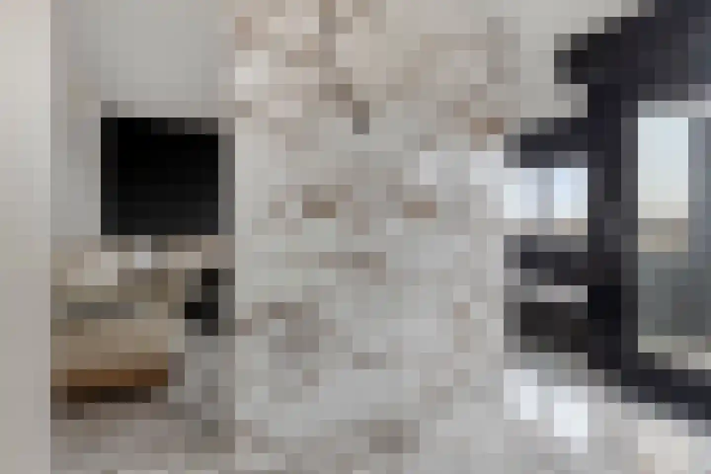 de Vlashoeck 23 Bergschenhoek thumbnail 26