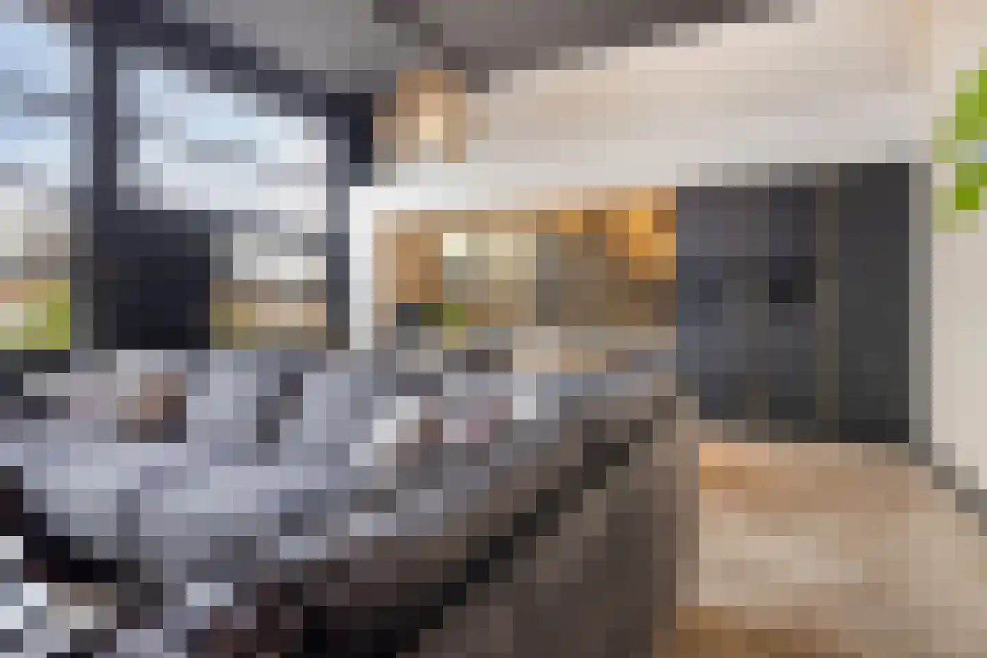 de Vlashoeck 23 Bergschenhoek thumbnail 4