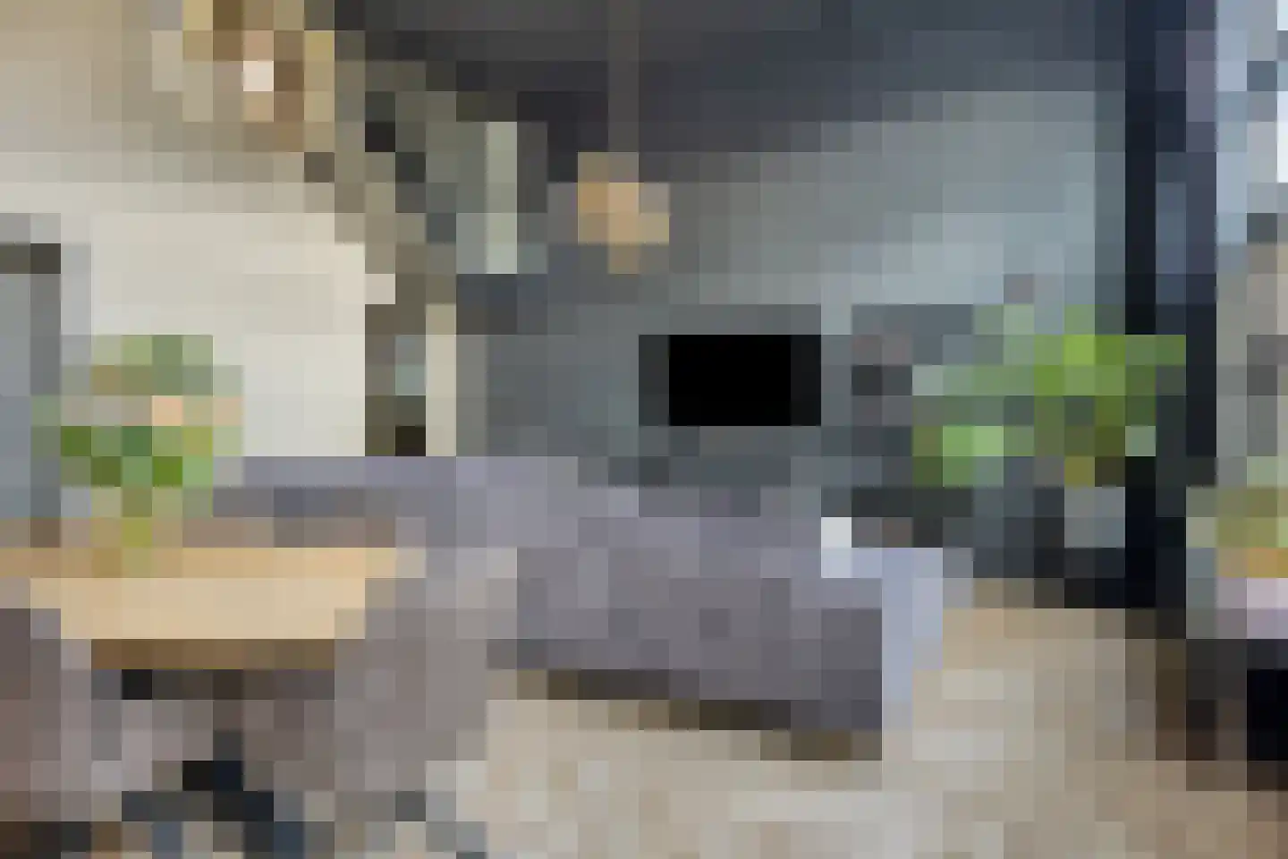 de Vlashoeck 23 Bergschenhoek thumbnail 4