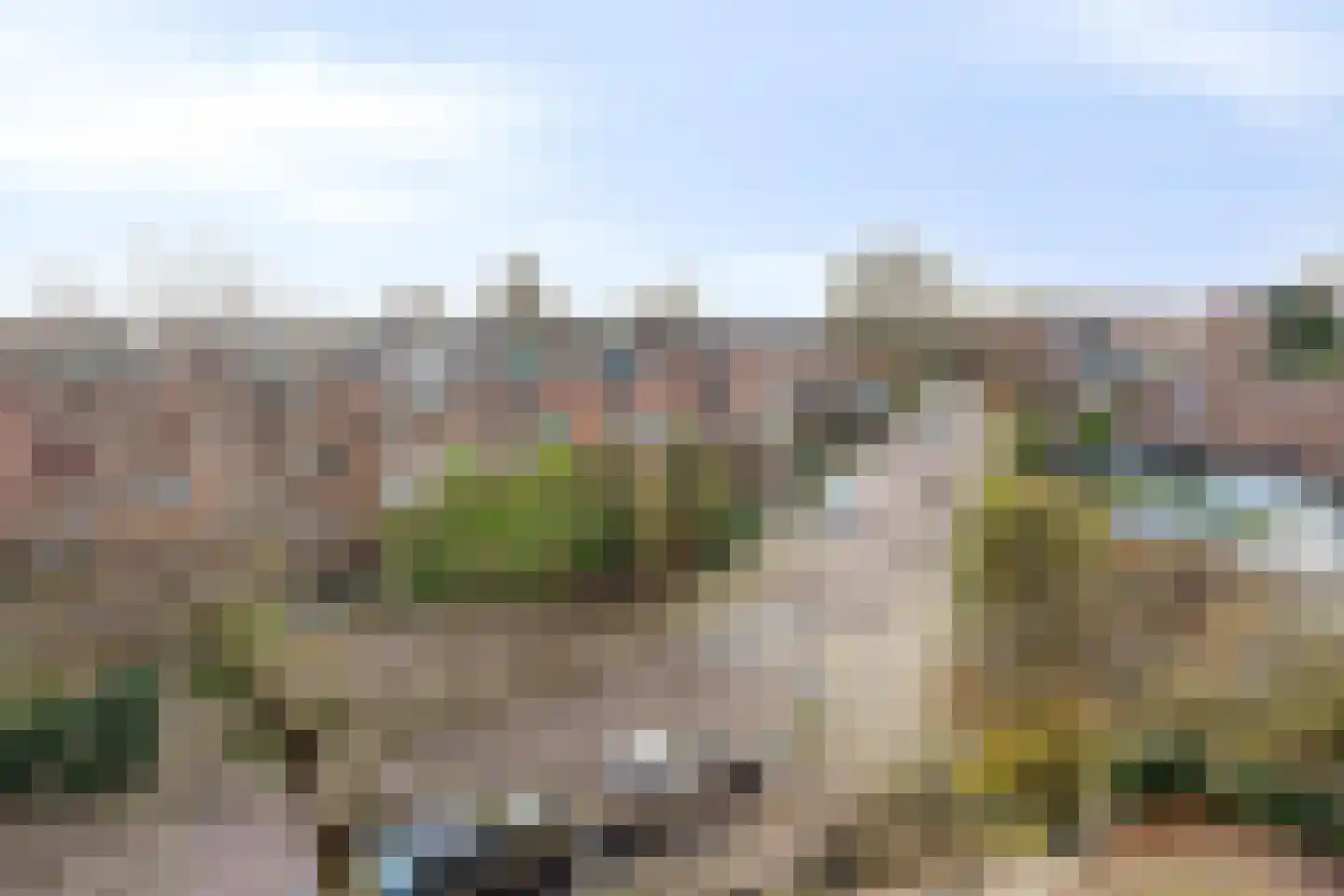 de Vlashoeck 23 Bergschenhoek thumbnail 45