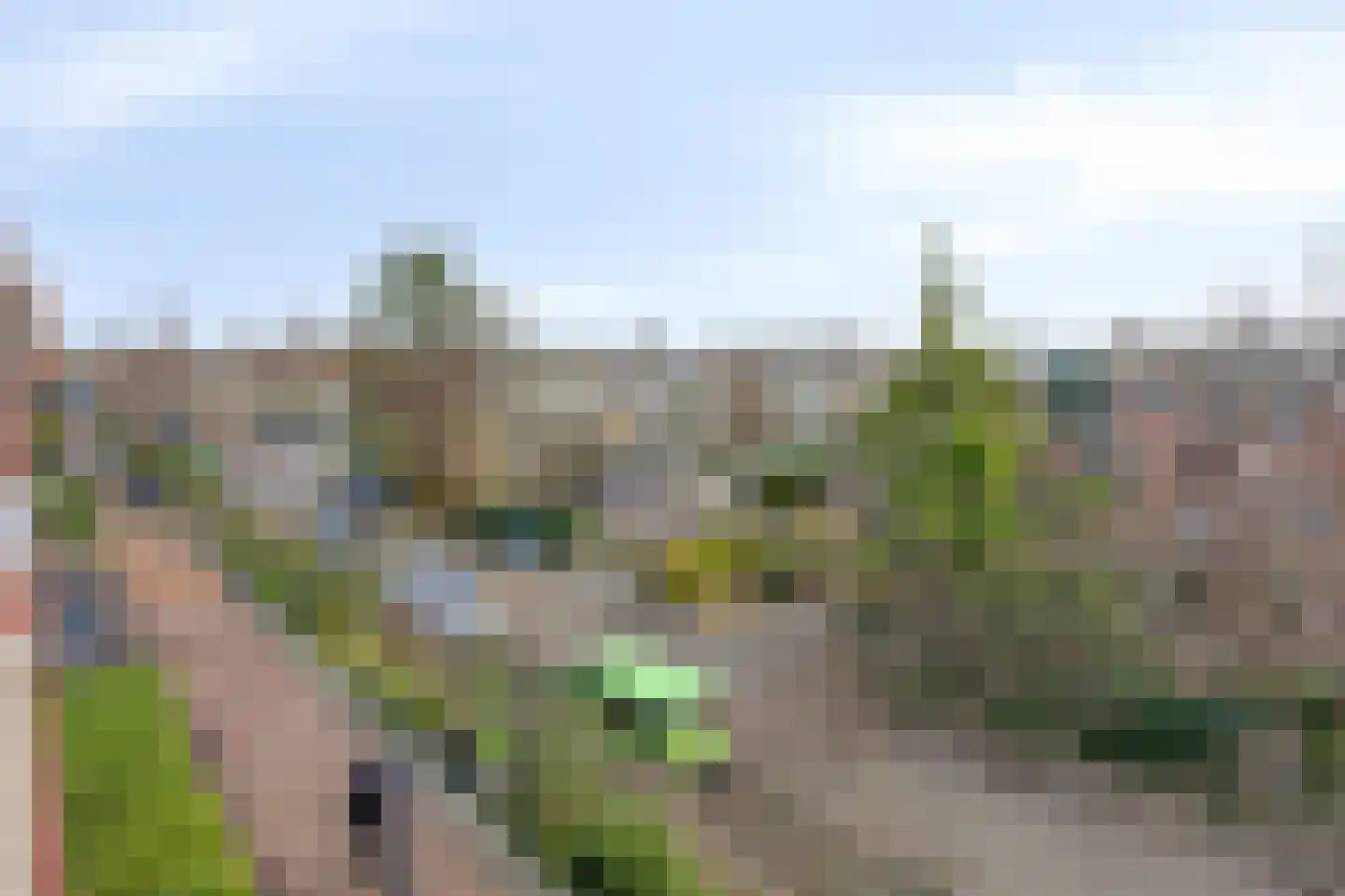 de Vlashoeck 23 Bergschenhoek thumbnail 46