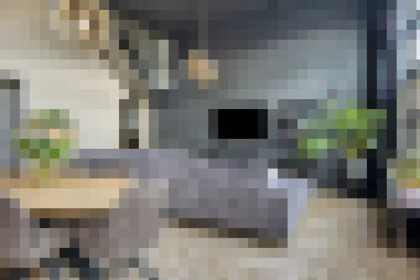 de Vlashoeck 23 Bergschenhoek thumbnail 6