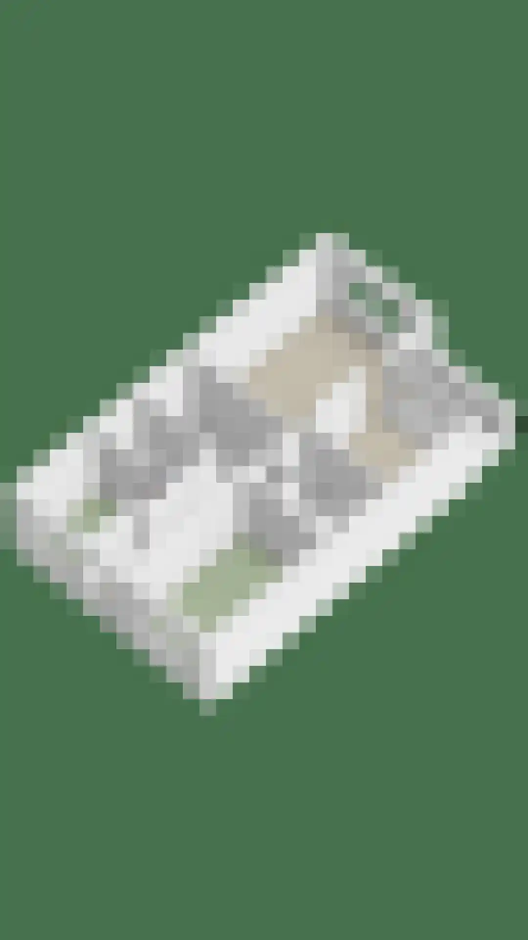 de Vlashoeck 23 Bergschenhoek thumbnail 64