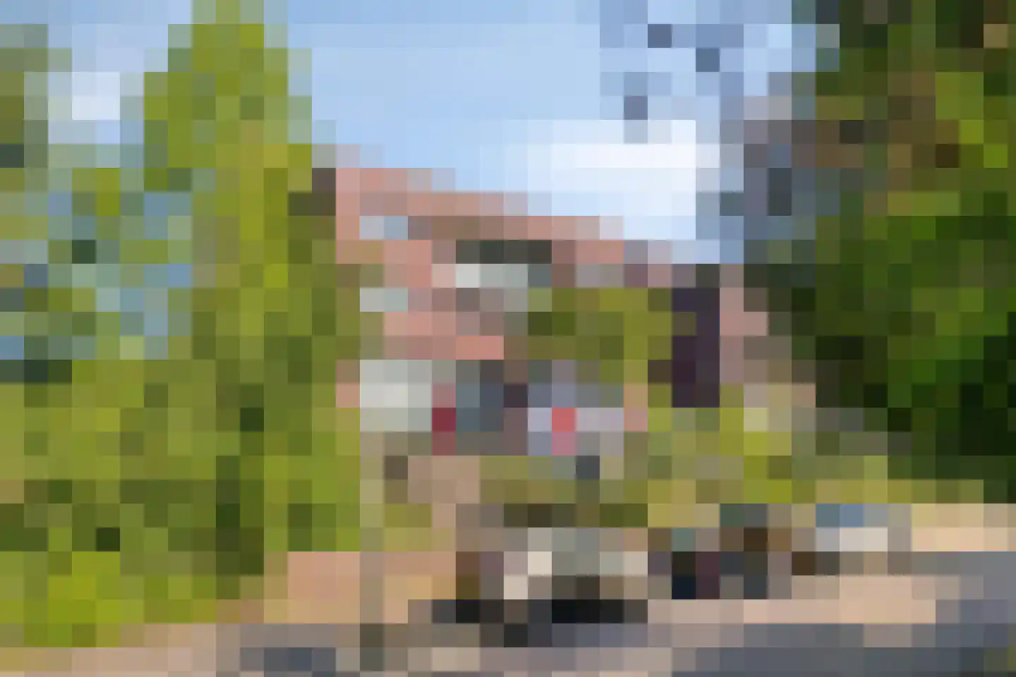 de Vlashoeck 23 Bergschenhoek thumbnail 7