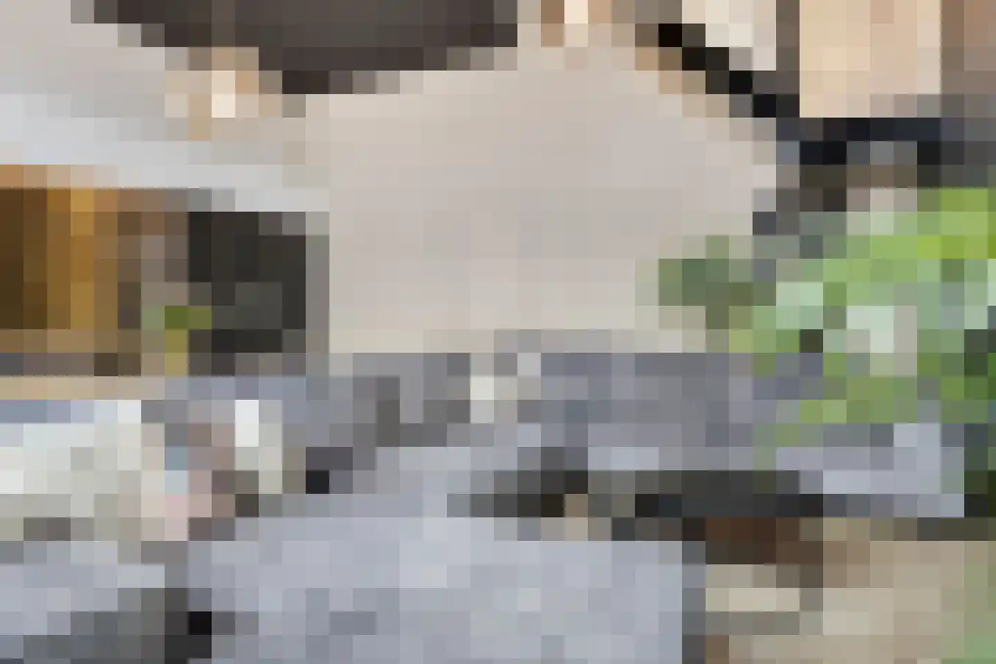 de Vlashoeck 23 Bergschenhoek thumbnail 9