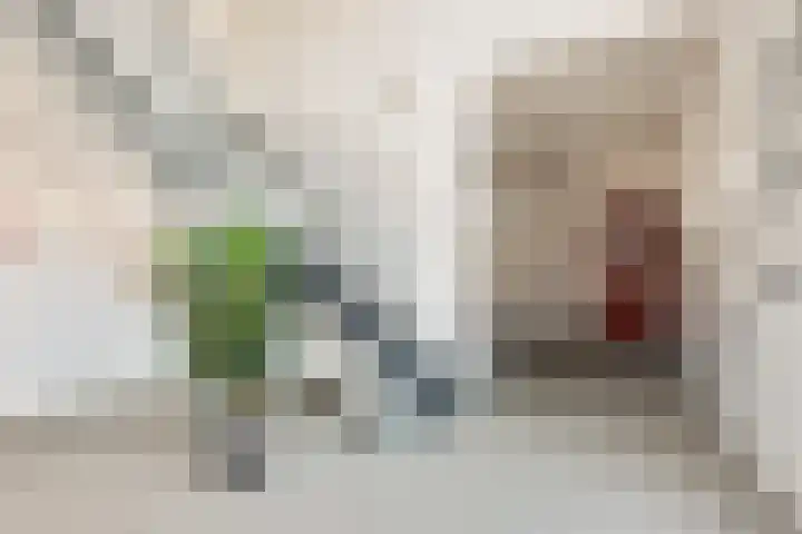 de Vlashoeck 5 Bergschenhoek thumbnail 10