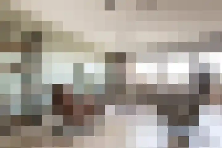 de Vlashoeck 5 Bergschenhoek thumbnail 13