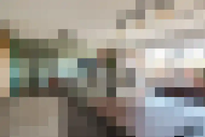 de Vlashoeck 5 Bergschenhoek thumbnail 22