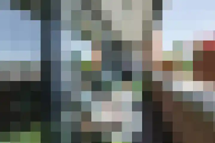 de Vlashoeck 5 Bergschenhoek thumbnail 23