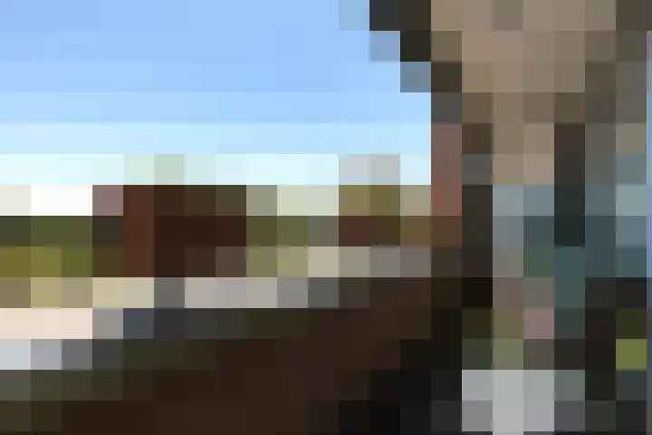de Vlashoeck 5 Bergschenhoek thumbnail 24