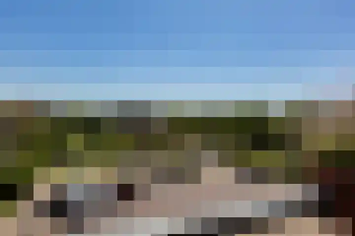 de Vlashoeck 5 Bergschenhoek thumbnail 25