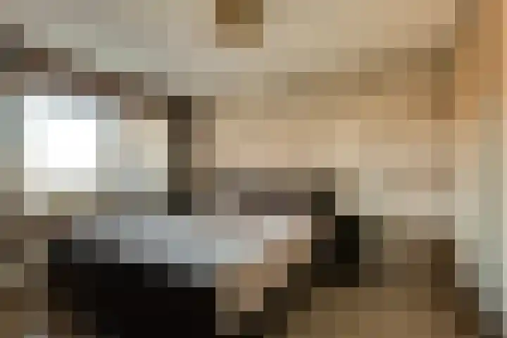 de Vlashoeck 5 Bergschenhoek thumbnail 26