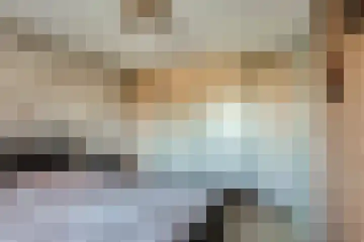 de Vlashoeck 5 Bergschenhoek thumbnail 27