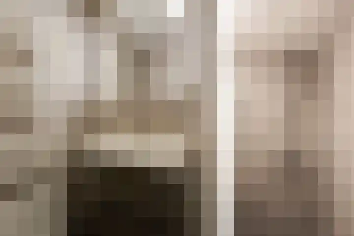 de Vlashoeck 5 Bergschenhoek thumbnail 33