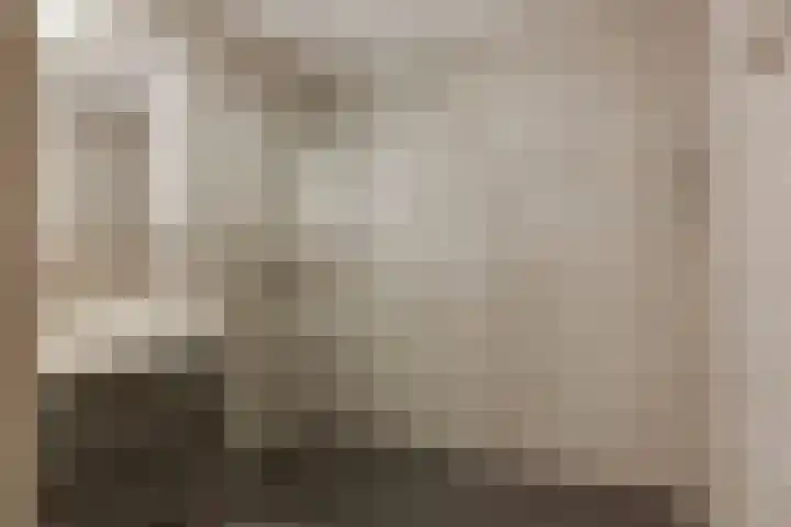 de Vlashoeck 5 Bergschenhoek thumbnail 4