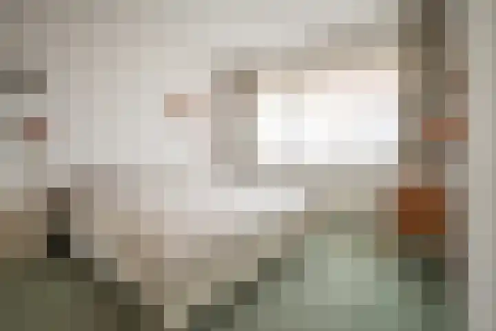 de Vlashoeck 55 Bergschenhoek thumbnail 10