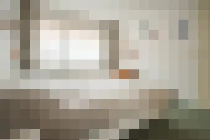de Vlashoeck 55 Bergschenhoek thumbnail 11