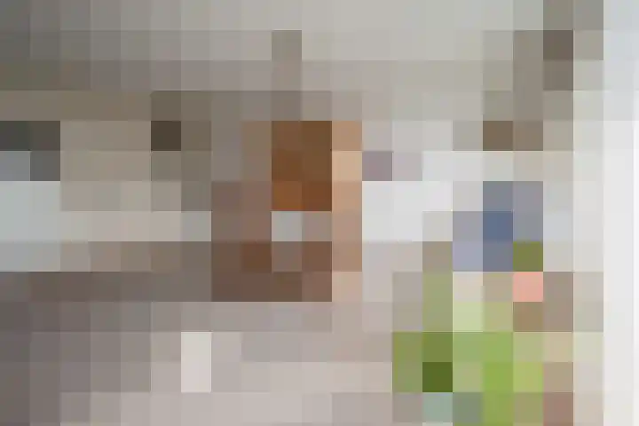 de Vlashoeck 55 Bergschenhoek thumbnail 21
