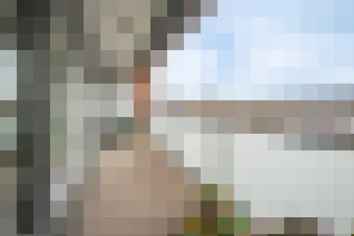 de Vlashoeck 55 Bergschenhoek thumbnail 27