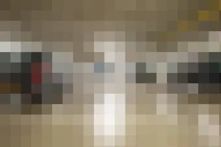 de Vlashoeck 55 Bergschenhoek thumbnail 31
