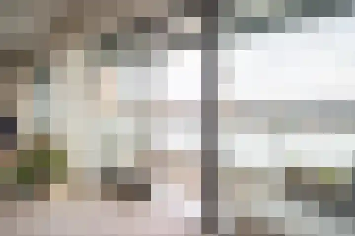 de Vlashoeck 55 Bergschenhoek thumbnail 4
