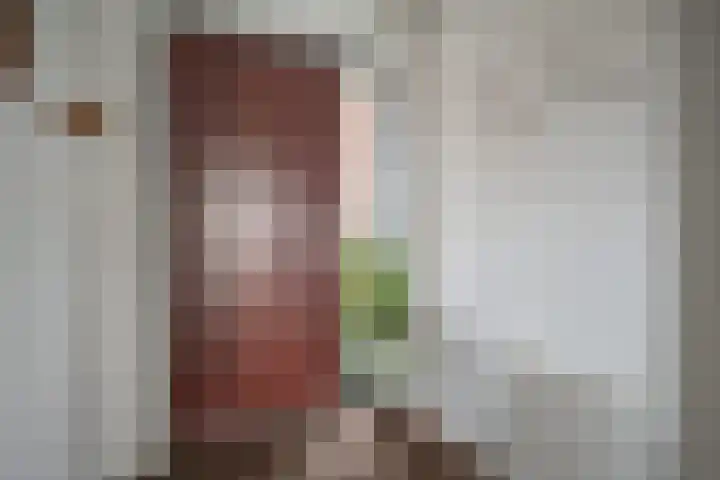 de Vlashoeck 55 Bergschenhoek thumbnail 5