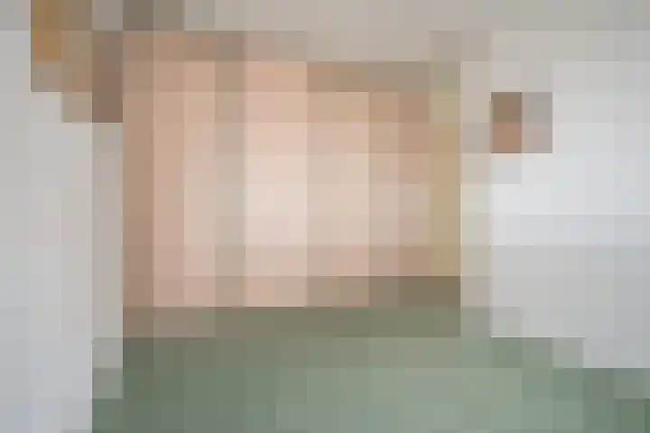 de Vlashoeck 55 Bergschenhoek thumbnail 9