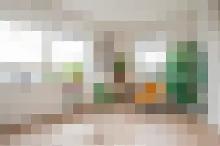 de Vlashoeck 93 Bergschenhoek thumbnail 11