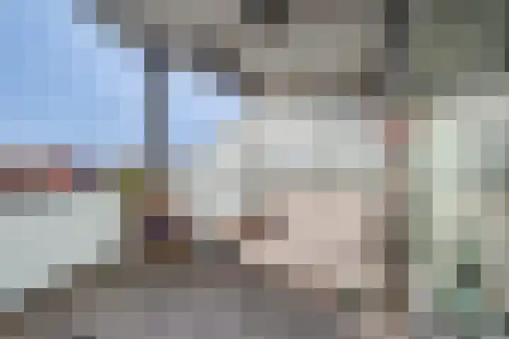 de Vlashoeck 93 Bergschenhoek thumbnail 17