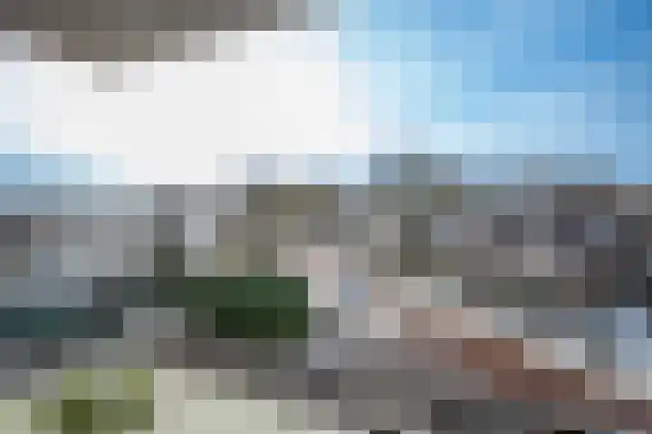 de Vlashoeck 93 Bergschenhoek thumbnail 19