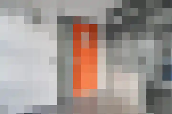 de Vlashoeck 93 Bergschenhoek thumbnail 31