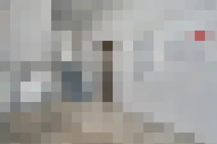 de Vlashoeck 93 Bergschenhoek thumbnail 34