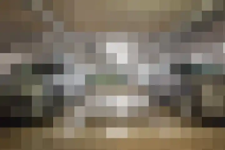 de Vlashoeck 93 Bergschenhoek thumbnail 36