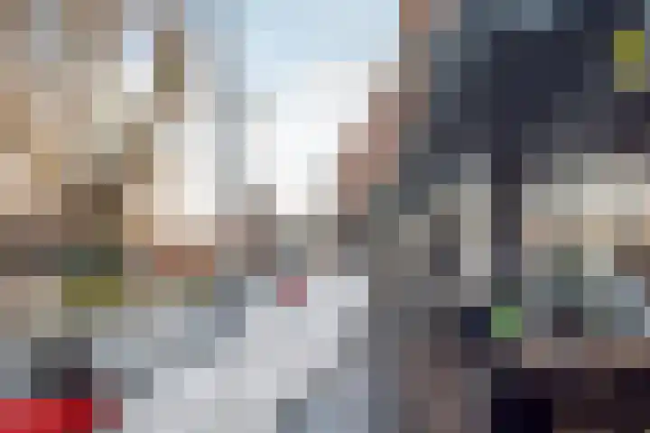 de Vlashoeck 93 Bergschenhoek thumbnail 37