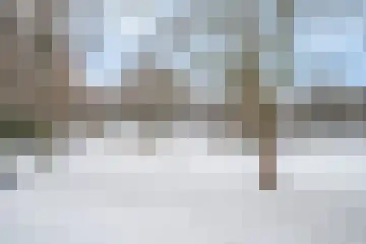 de Vlashoeck 93 Bergschenhoek thumbnail 39
