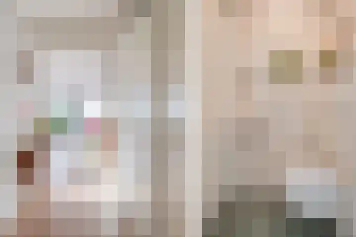de Vlashoeck 93 Bergschenhoek thumbnail 5