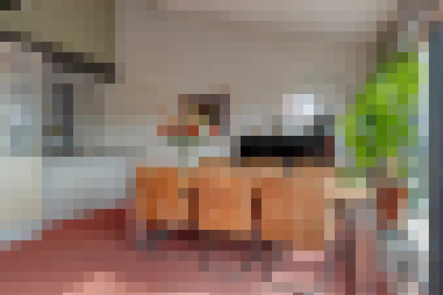 de Vlashoeck 97 Bergschenhoek thumbnail 10