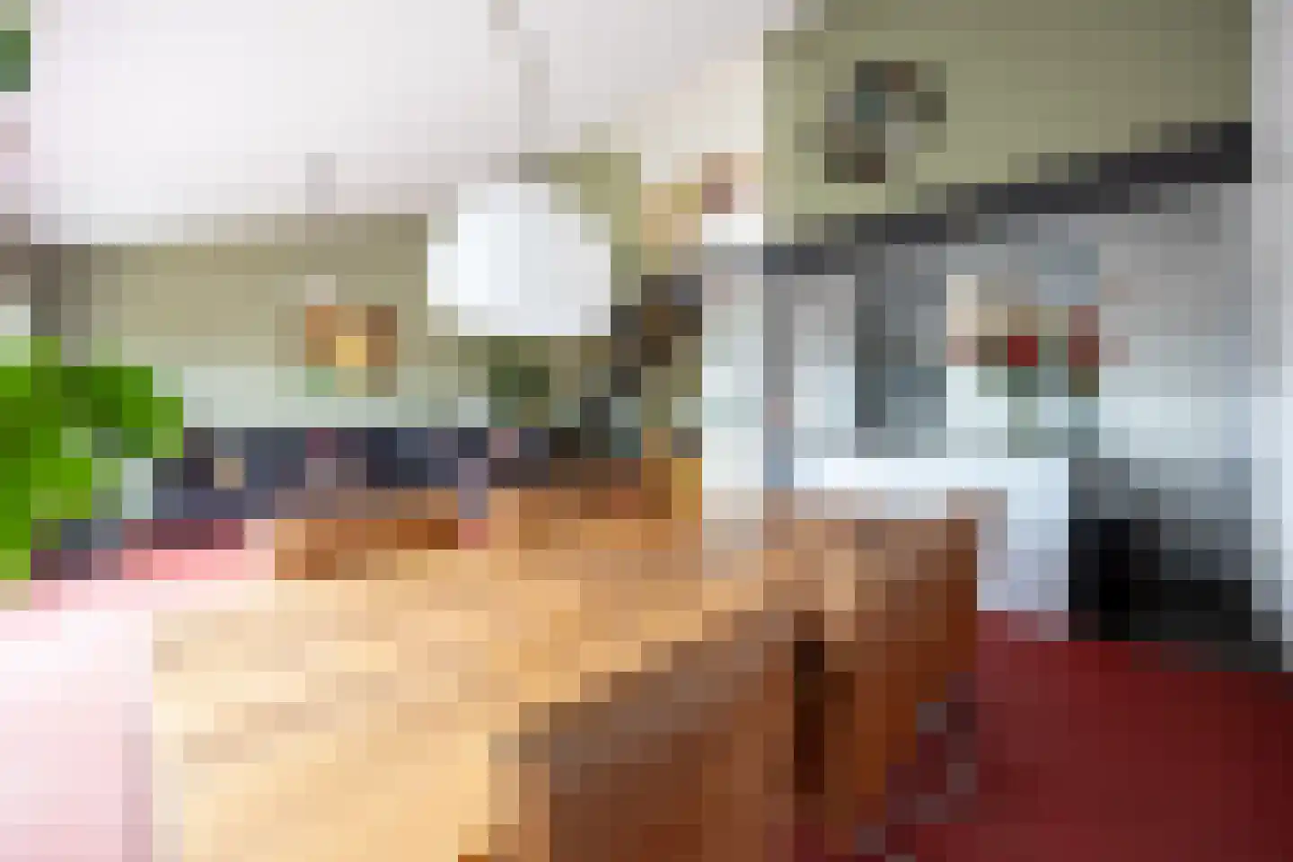 de Vlashoeck 97 Bergschenhoek thumbnail 11