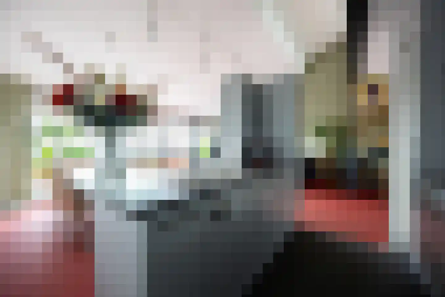de Vlashoeck 97 Bergschenhoek thumbnail 13