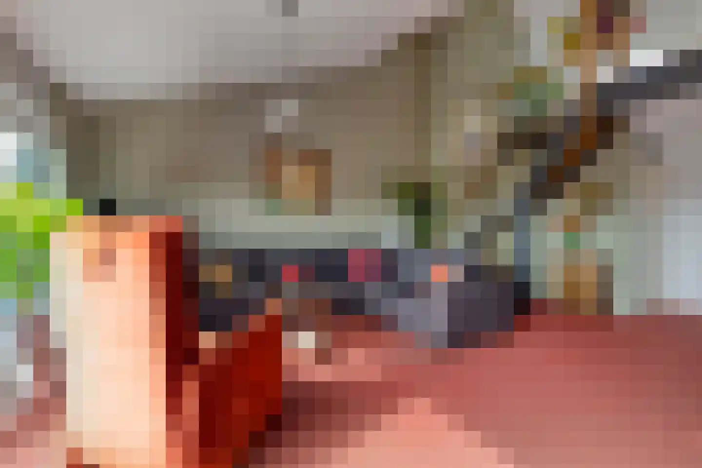de Vlashoeck 97 Bergschenhoek thumbnail 15
