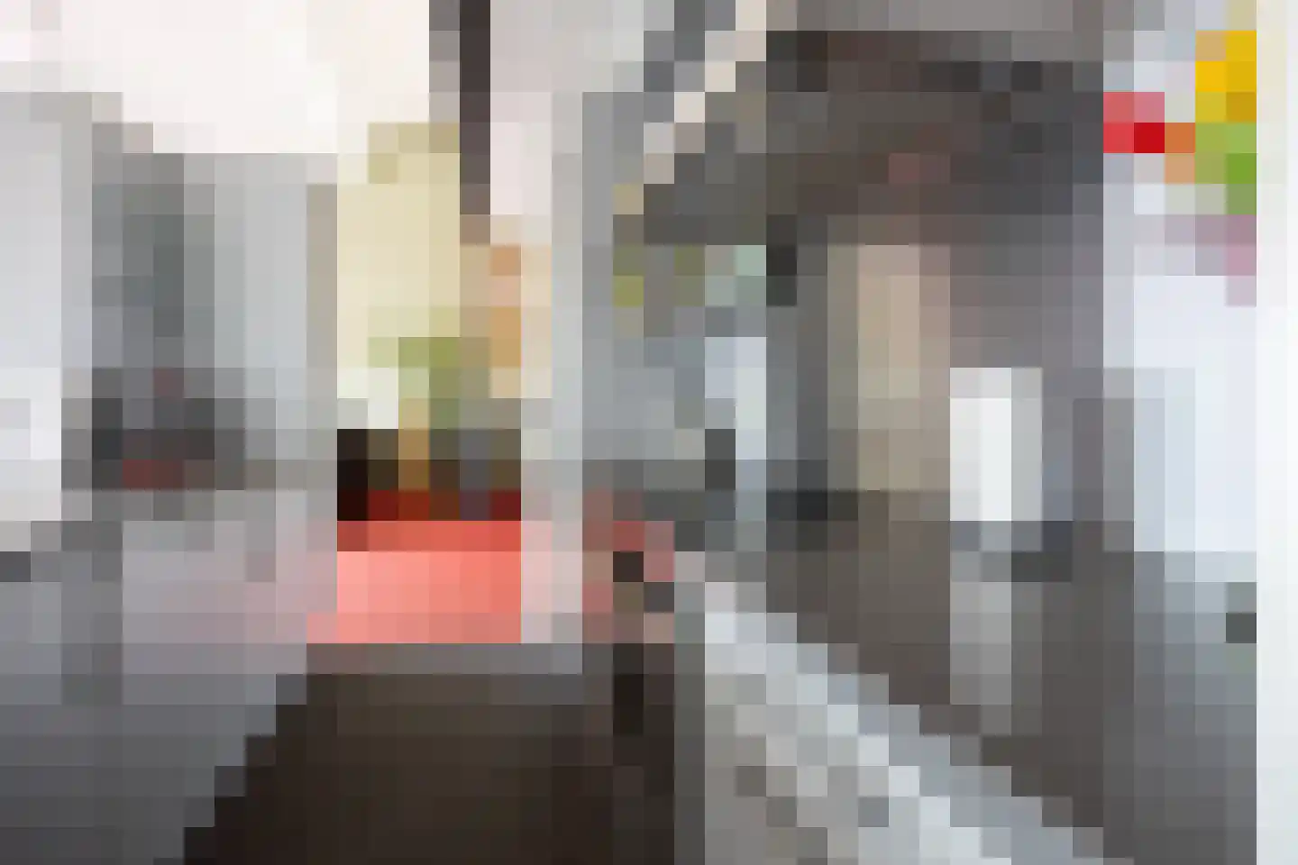 de Vlashoeck 97 Bergschenhoek thumbnail 15