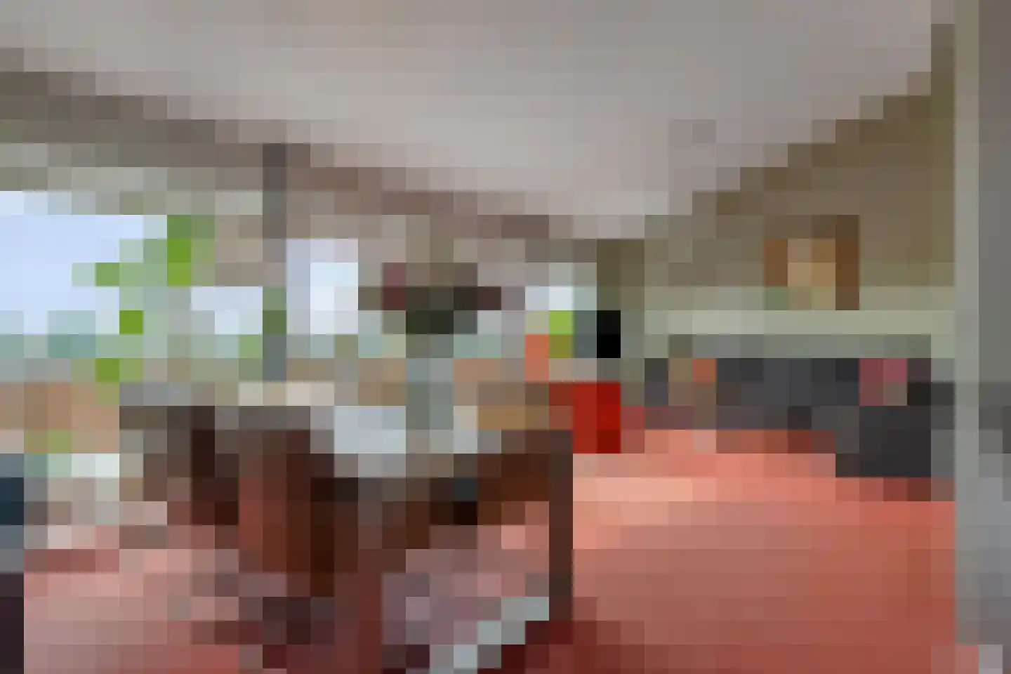 de Vlashoeck 97 Bergschenhoek thumbnail 18