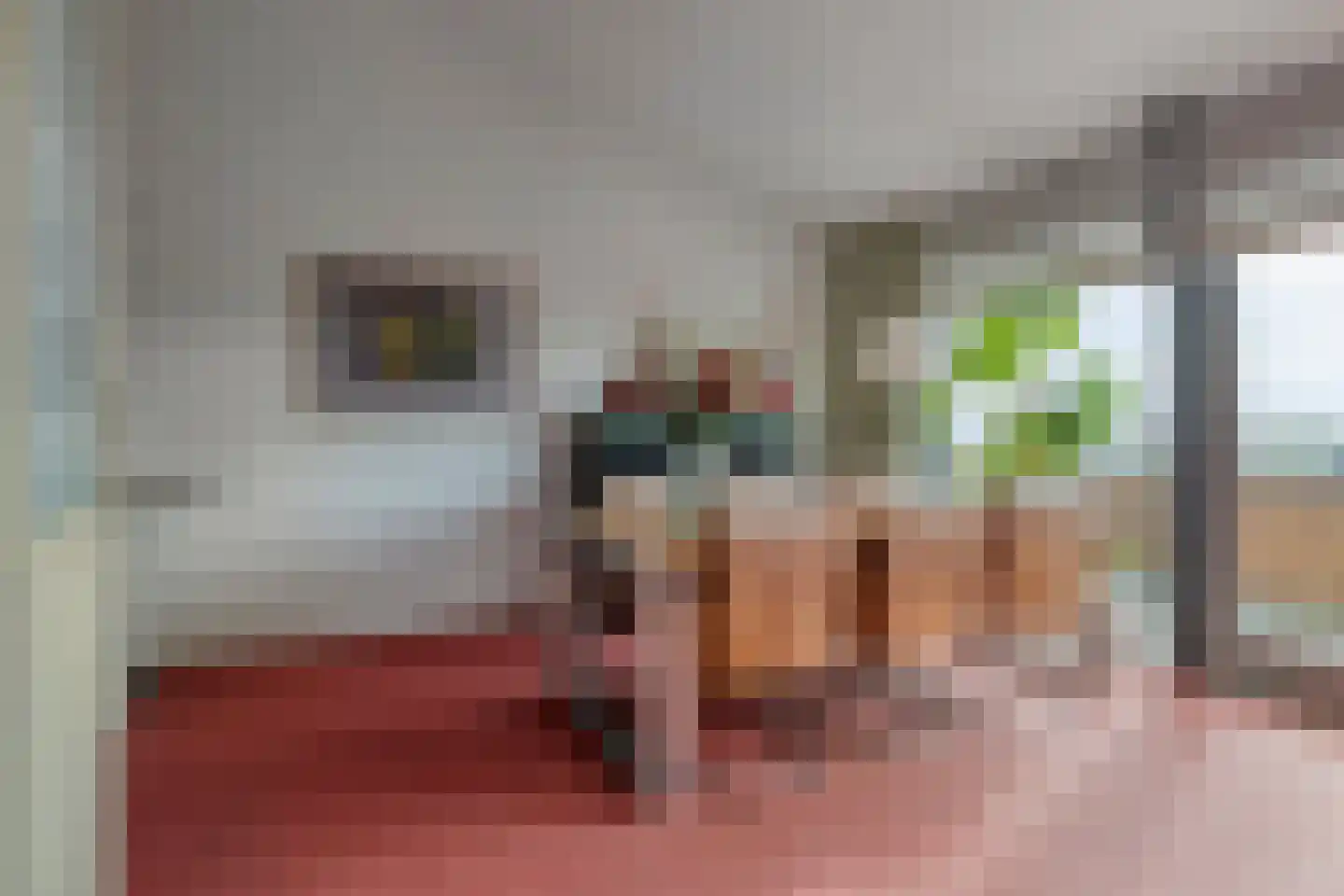 de Vlashoeck 97 Bergschenhoek thumbnail 19