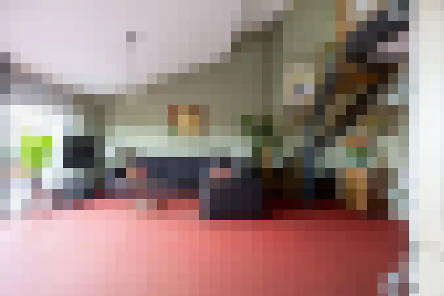 de Vlashoeck 97 Bergschenhoek thumbnail 19
