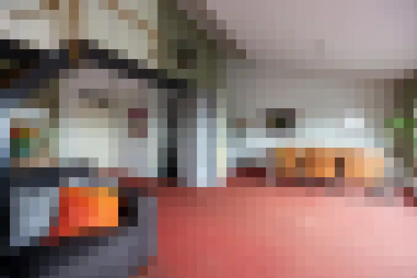 de Vlashoeck 97 Bergschenhoek thumbnail 27