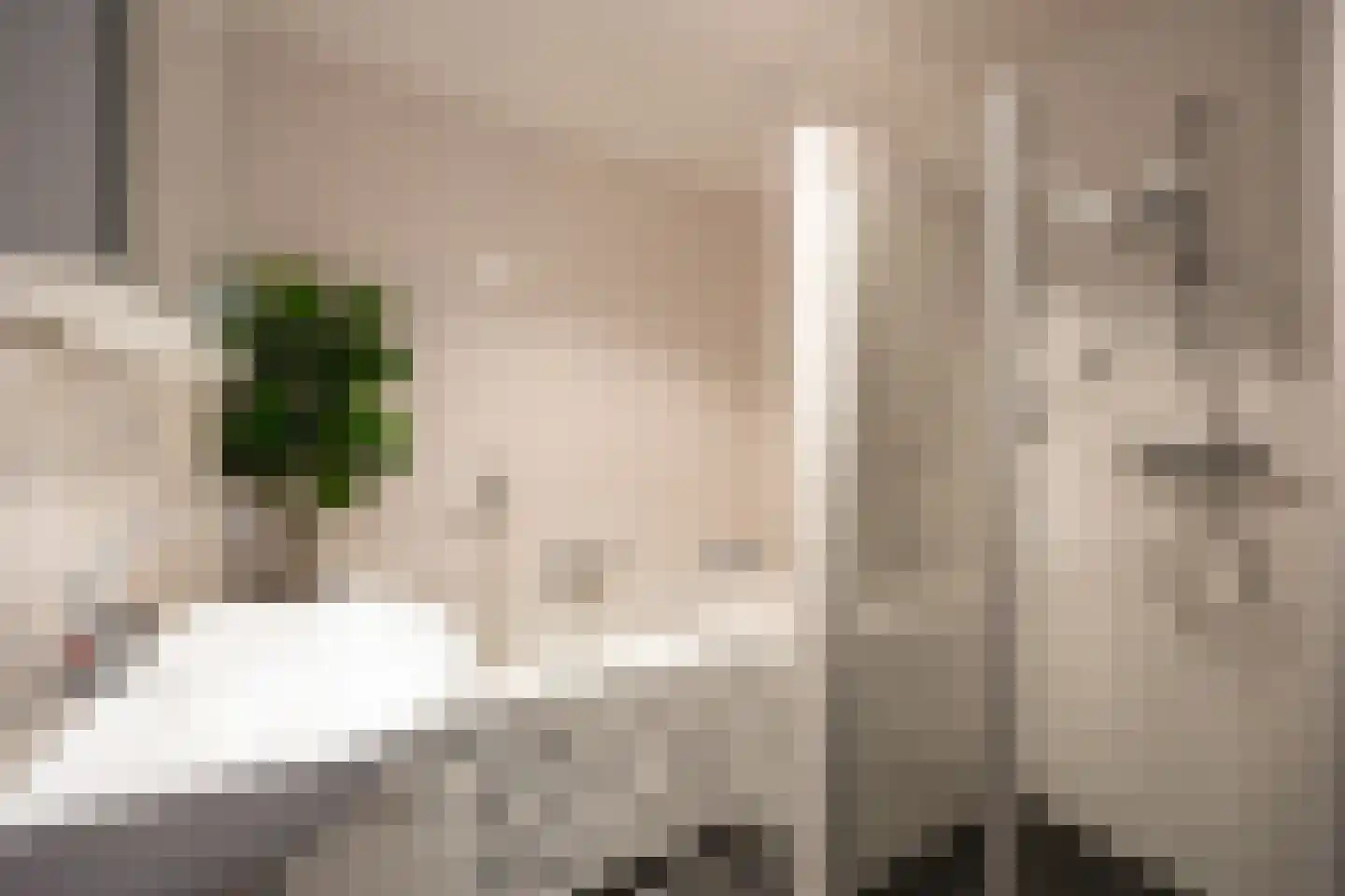 de Vlashoeck 97 Bergschenhoek thumbnail 31