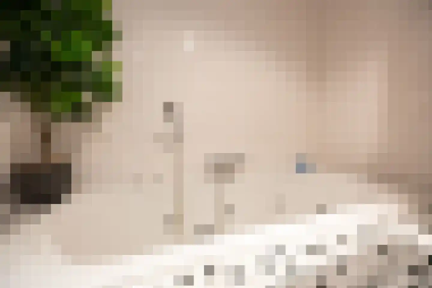 de Vlashoeck 97 Bergschenhoek thumbnail 33