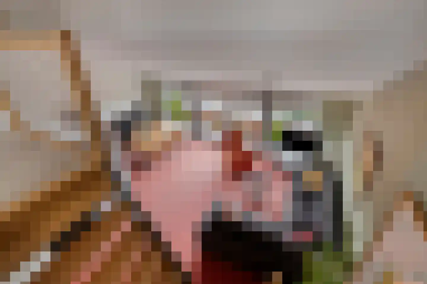 de Vlashoeck 97 Bergschenhoek thumbnail 34