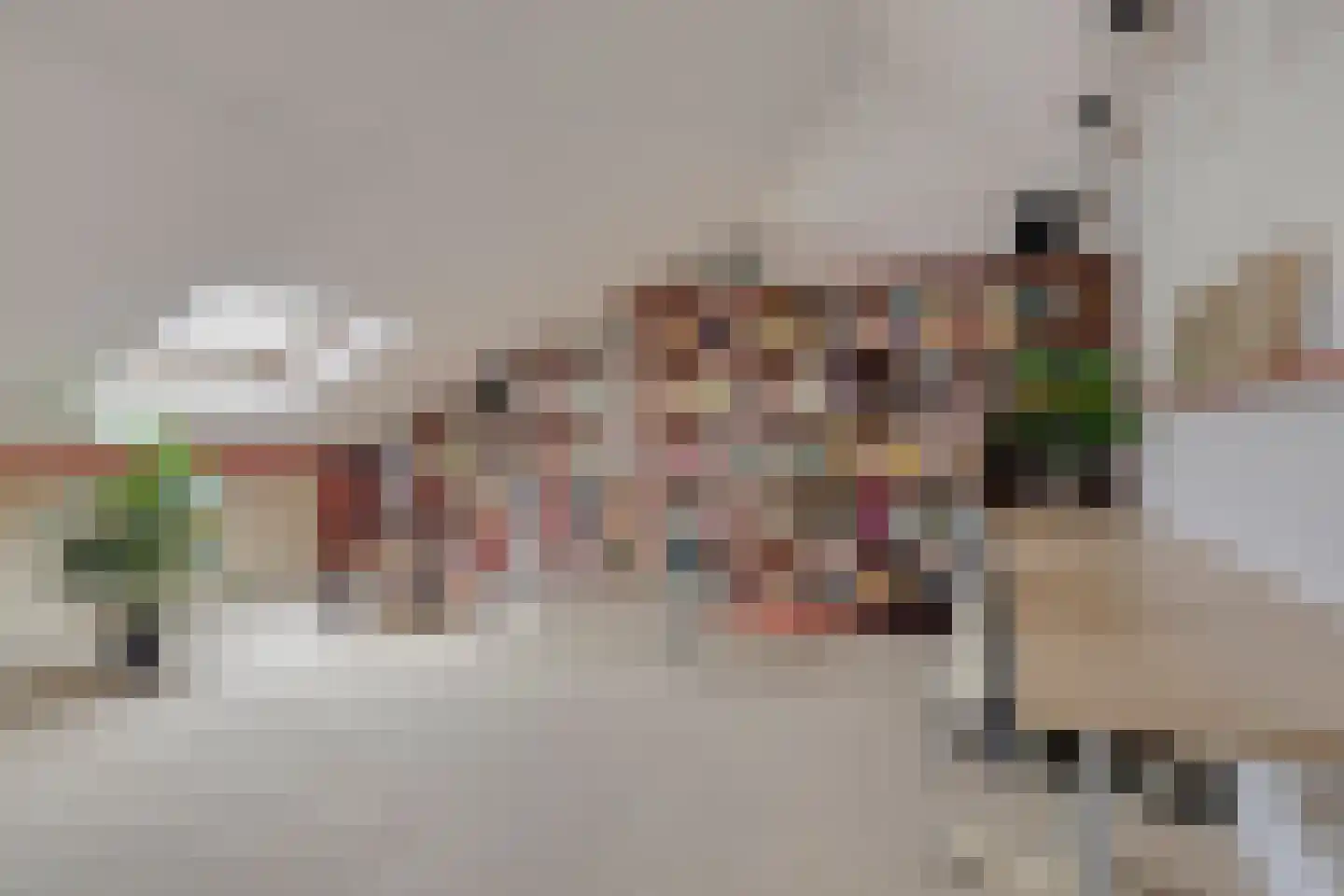 de Vlashoeck 97 Bergschenhoek thumbnail 35